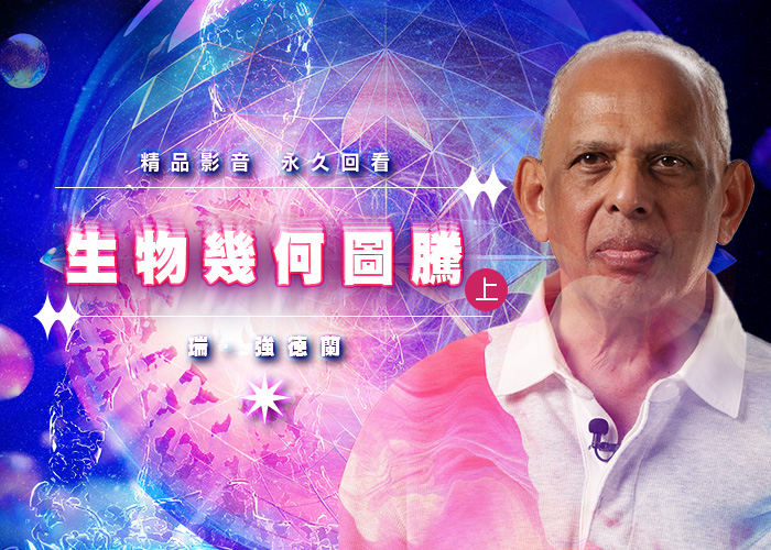 生物幾何圖騰【上集】